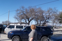 IMG_20210116_113750