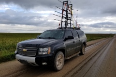 DM99