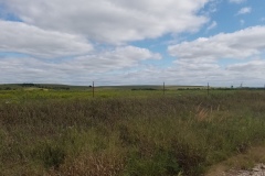 Kansas-1