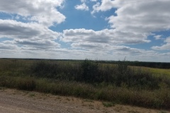 Kansas-3