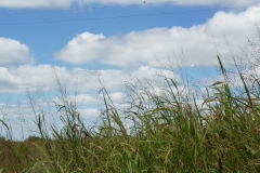 20180909_145648